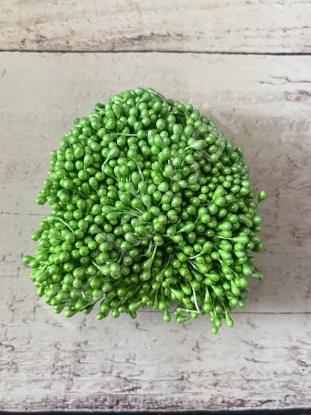 ÇİÇEK TOHUMU ( 1 DÜZİNE 12 ADET )