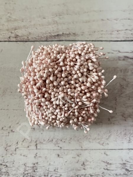 ÇİÇEK TOHUMU ( 1 DÜZİNE 12 ADET )