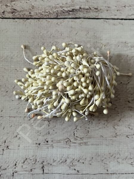 ÇİÇEK TOHUMU ( 1 DÜZİNE 12 ADET )