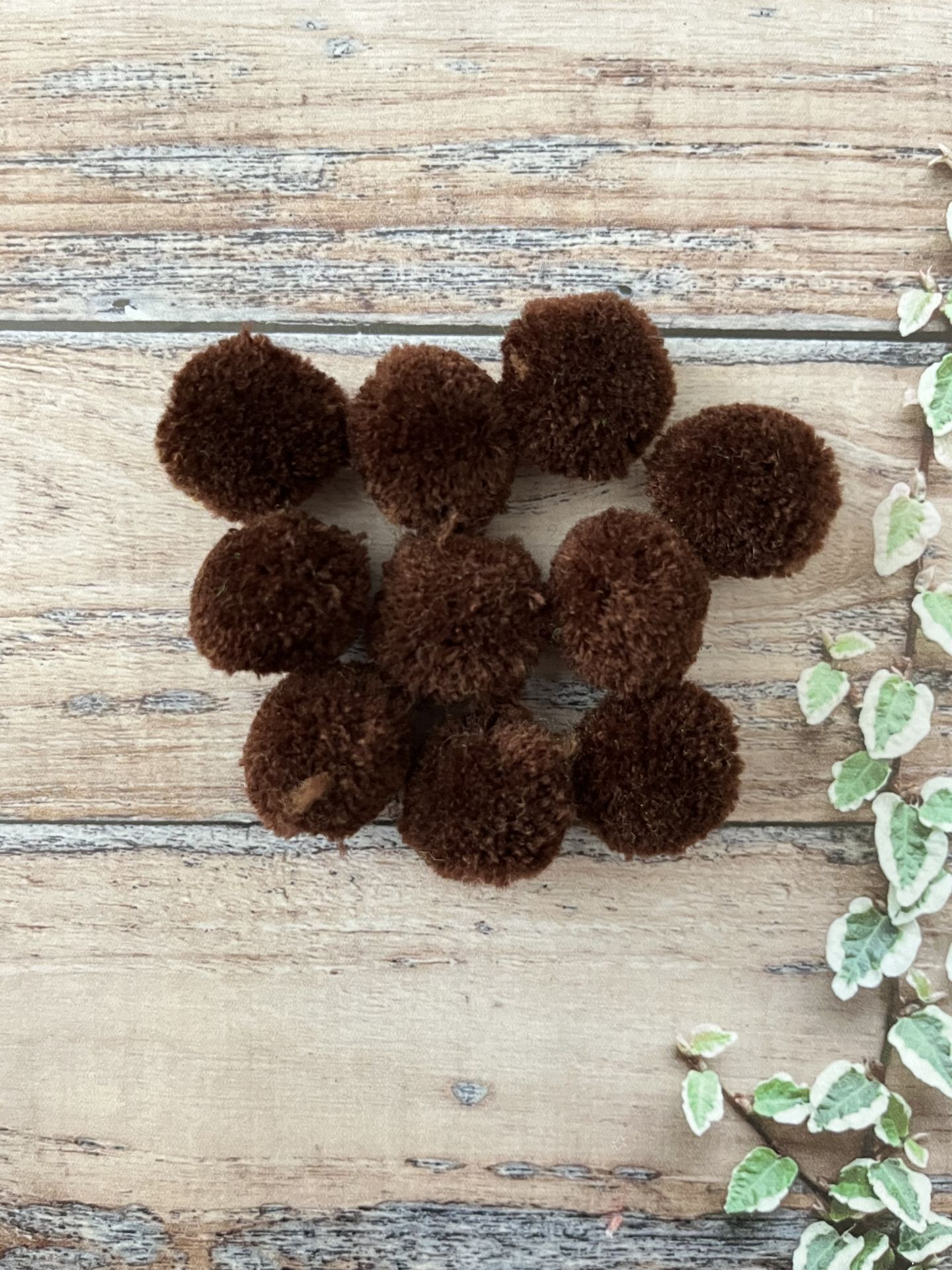 3 CM PONPON 10’ LU PAKET ACI KAHVE