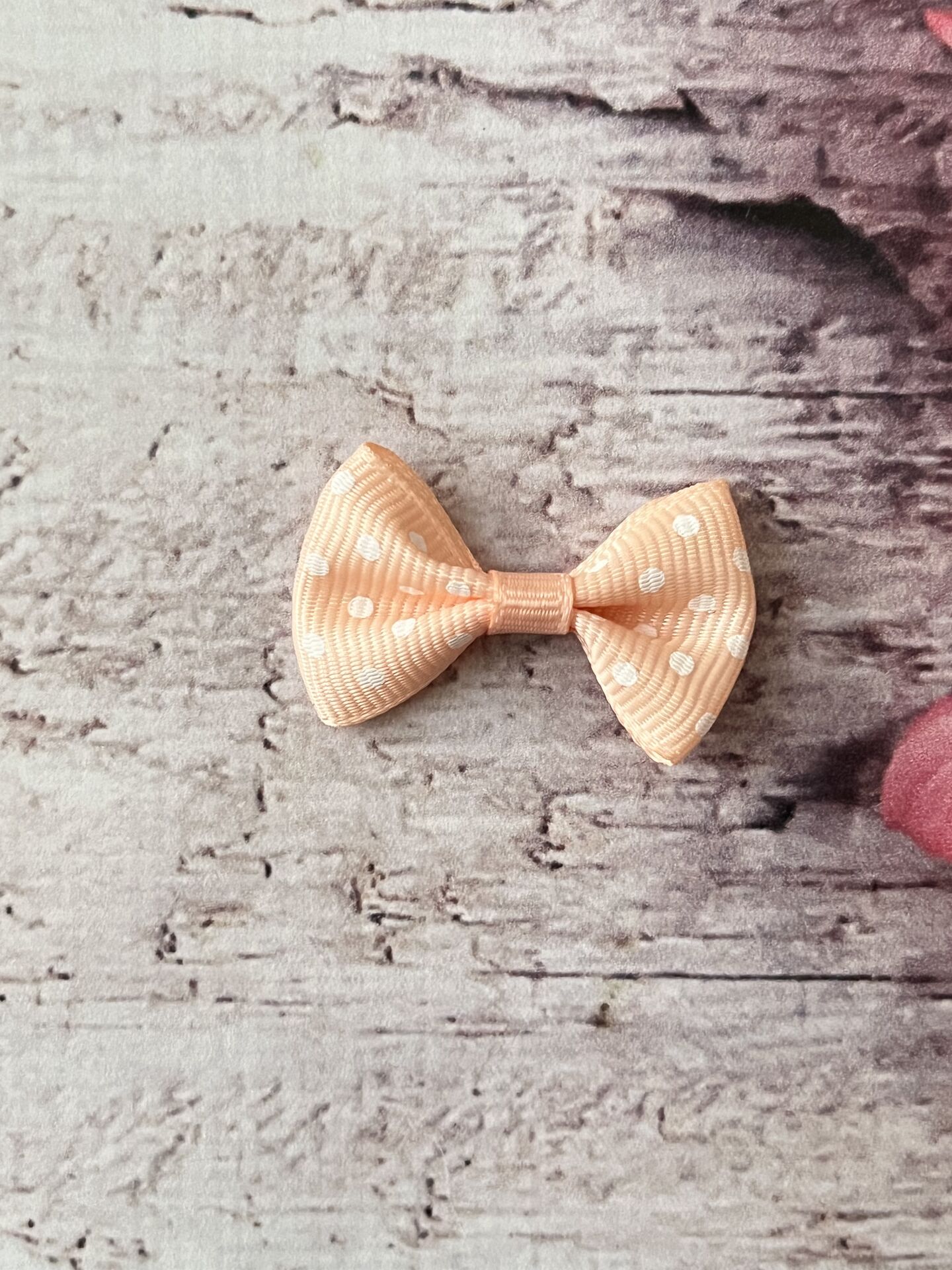RENKLI FİYONKLAR  BÜYÜK 3 CM SOMON
